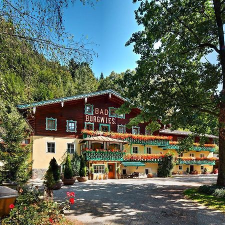 Pension Heilbad Burgwies ستلفلدن المظهر الخارجي الصورة