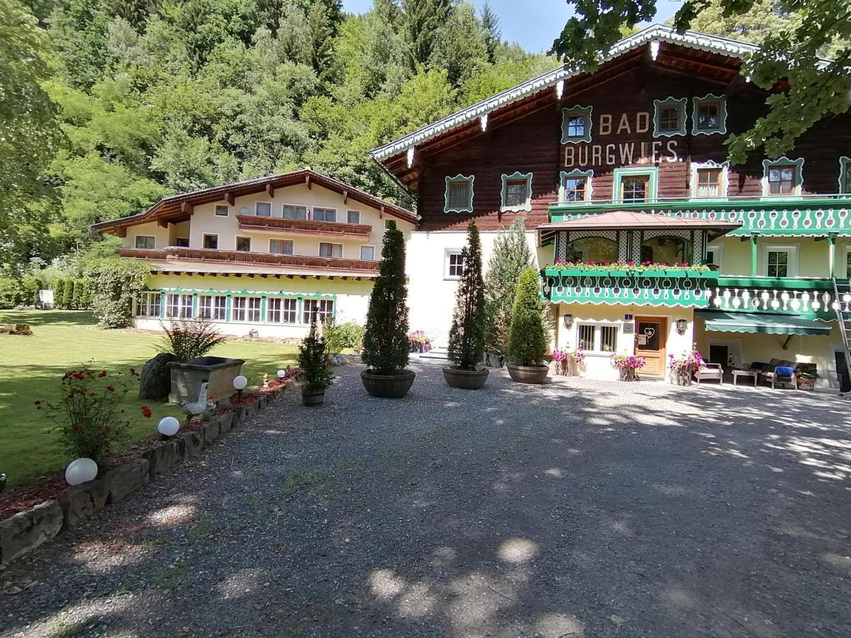 Pension Heilbad Burgwies ستلفلدن المظهر الخارجي الصورة