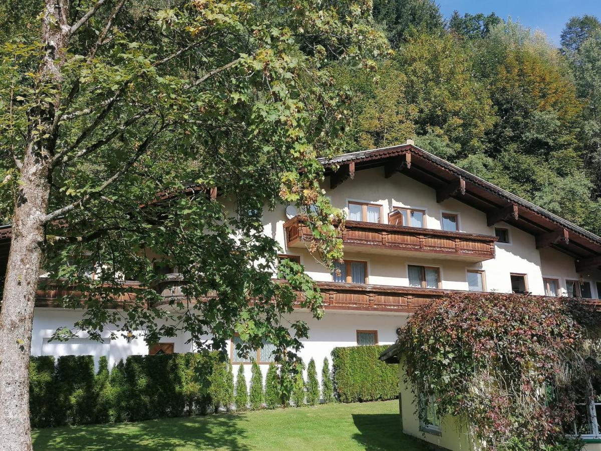 Pension Heilbad Burgwies ستلفلدن المظهر الخارجي الصورة