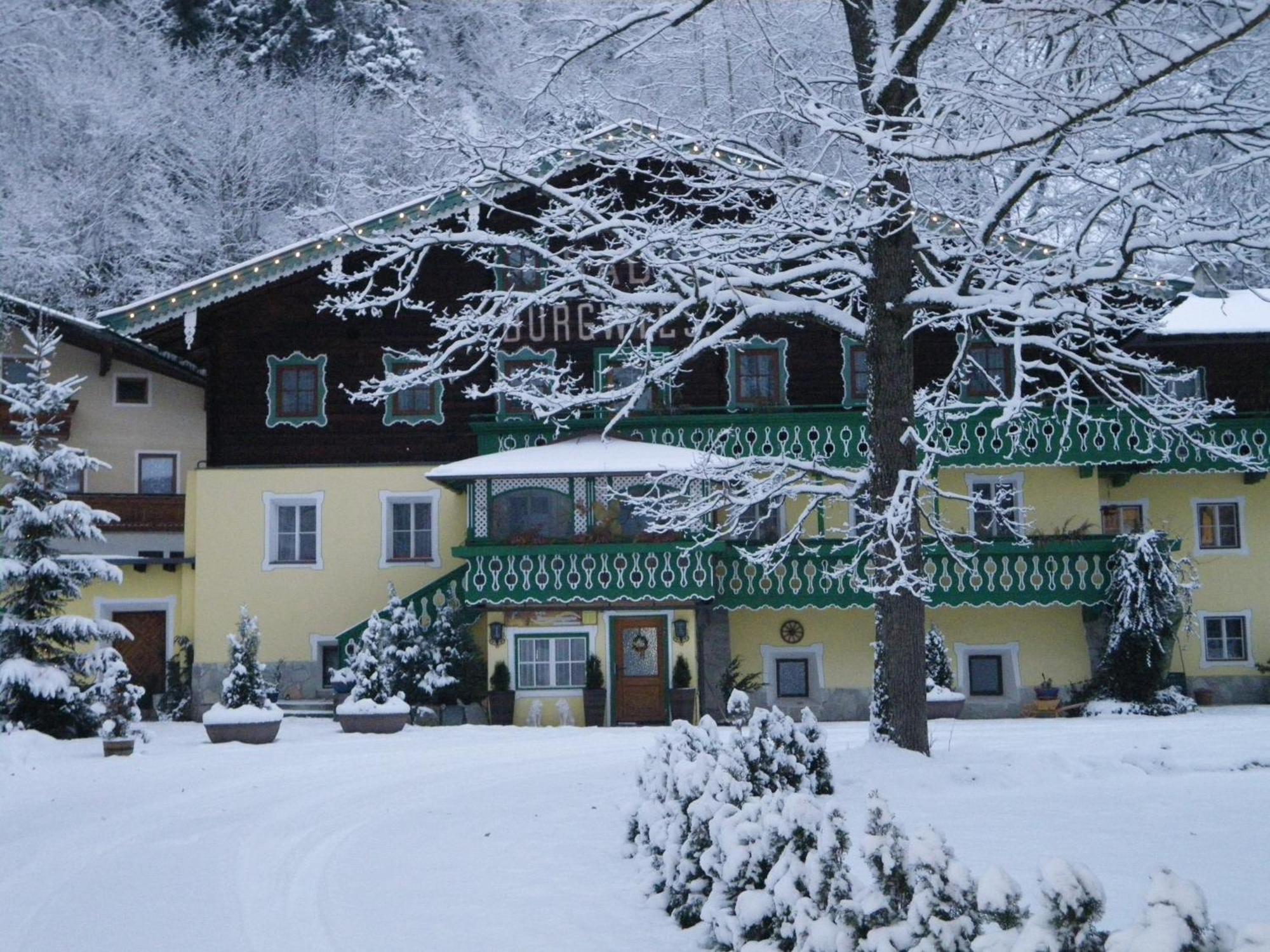 Pension Heilbad Burgwies ستلفلدن المظهر الخارجي الصورة